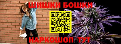 дмт Гатчина