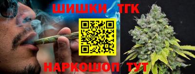 дмт Гатчина