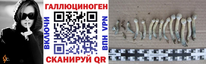 Псилоцибиновые грибы Magic Shrooms  hydra зеркало  Новоалтайск 