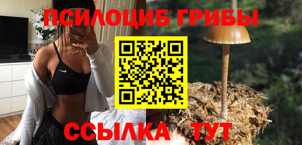 Новоалтайск  Псилоцибиновые грибы Cubensis  купить наркоту  Вход с VPN 